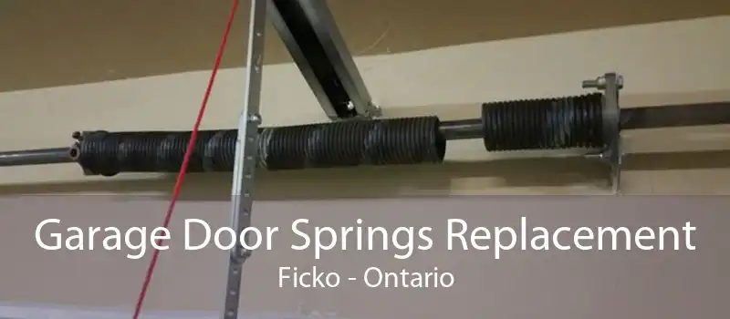 Garage Door Springs Replacement Ficko - Ontario