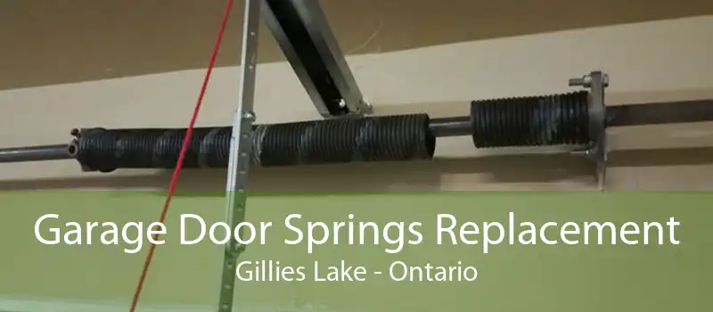 Garage Door Springs Replacement Gillies Lake - Ontario