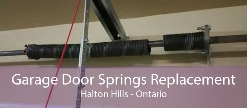 Garage Door Springs Replacement Halton Hills - Ontario