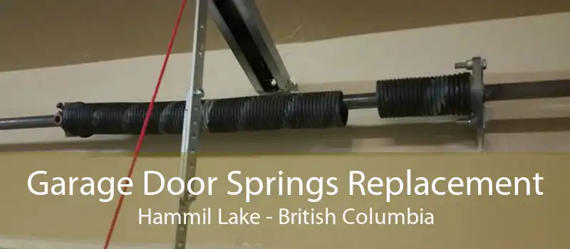 Garage Door Springs Replacement Hammil Lake - British Columbia