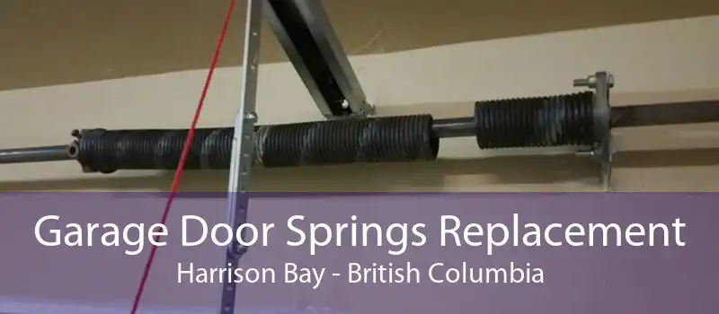 Garage Door Springs Replacement Harrison Bay - British Columbia