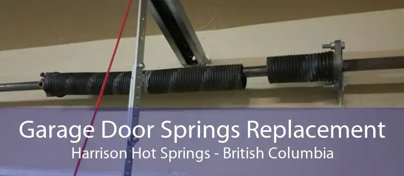 Garage Door Springs Replacement Harrison Hot Springs - British Columbia