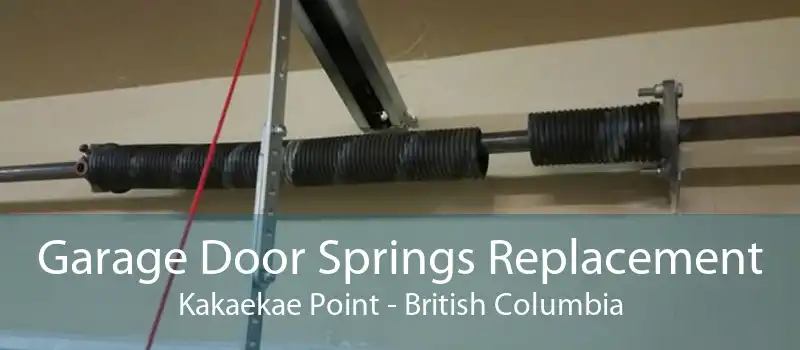 Garage Door Springs Replacement Kakaekae Point - British Columbia