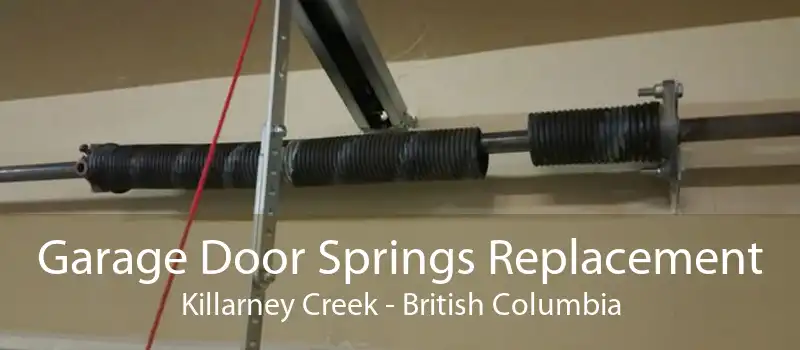 Garage Door Springs Replacement Killarney Creek - British Columbia