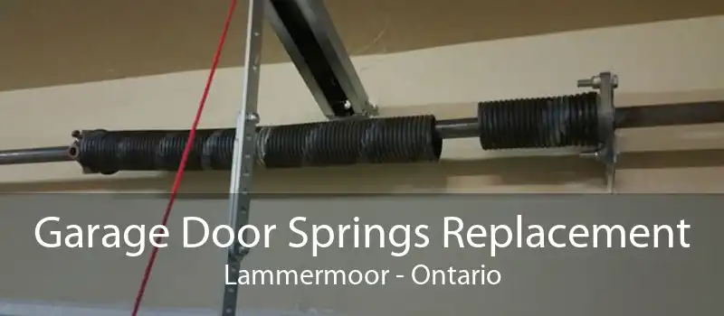 Garage Door Springs Replacement Lammermoor - Ontario