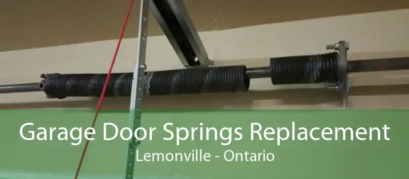 Garage Door Springs Replacement Lemonville - Ontario