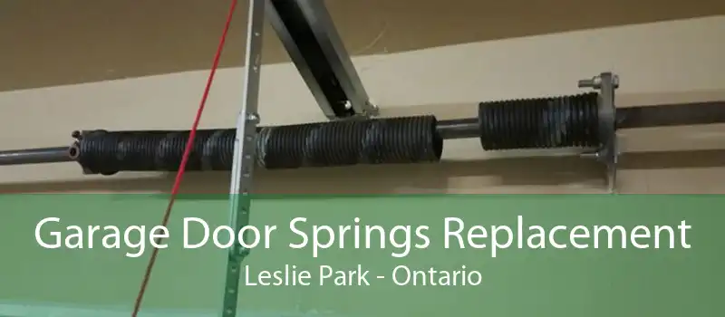 Garage Door Springs Replacement Leslie Park - Ontario