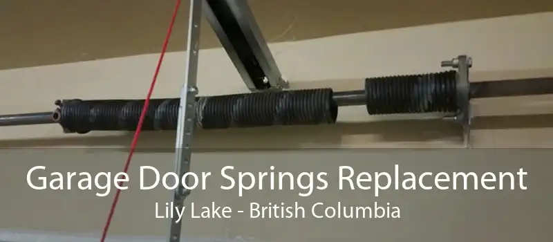 Garage Door Springs Replacement Lily Lake - British Columbia