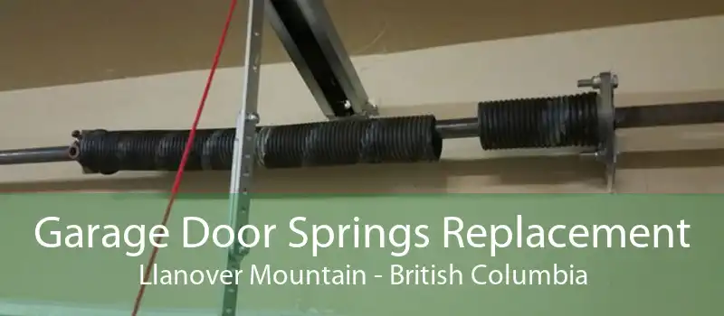 Garage Door Springs Replacement Llanover Mountain - British Columbia