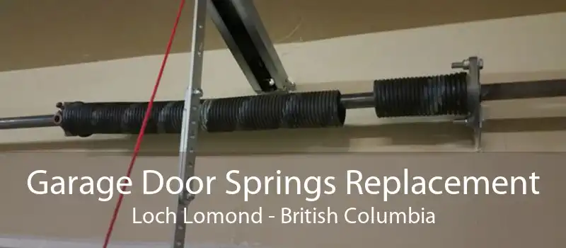 Garage Door Springs Replacement Loch Lomond - British Columbia