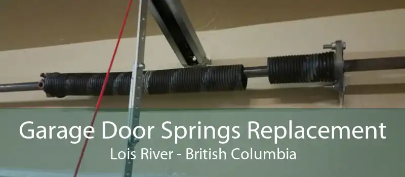 Garage Door Springs Replacement Lois River - British Columbia
