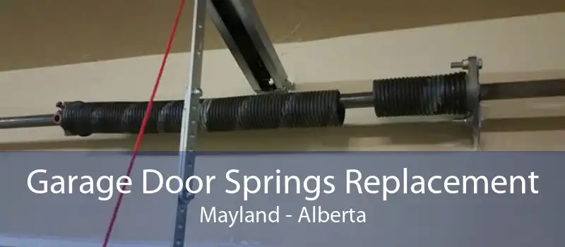 Garage Door Springs Replacement Mayland - Alberta