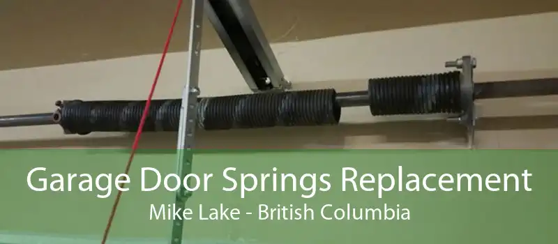 Garage Door Springs Replacement Mike Lake - British Columbia