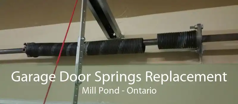 Garage Door Springs Replacement Mill Pond - Ontario