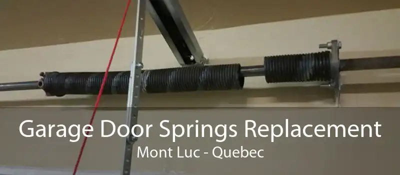 Garage Door Springs Replacement Mont Luc - Quebec