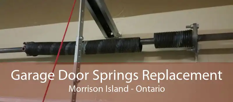 Garage Door Springs Replacement Morrison Island - Ontario