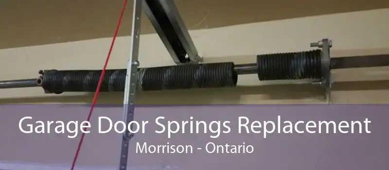 Garage Door Springs Replacement Morrison - Ontario