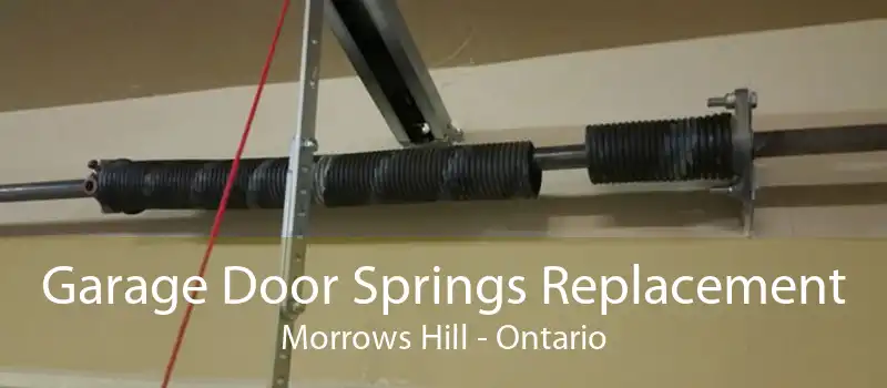 Garage Door Springs Replacement Morrows Hill - Ontario
