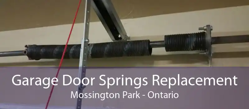 Garage Door Springs Replacement Mossington Park - Ontario