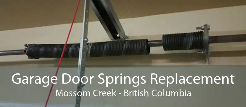 Garage Door Springs Replacement Mossom Creek - British Columbia
