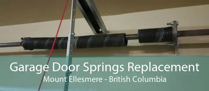 Garage Door Springs Replacement Mount Ellesmere - British Columbia