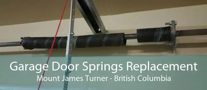 Garage Door Springs Replacement Mount James Turner - British Columbia