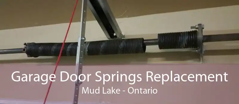 Garage Door Springs Replacement Mud Lake - Ontario