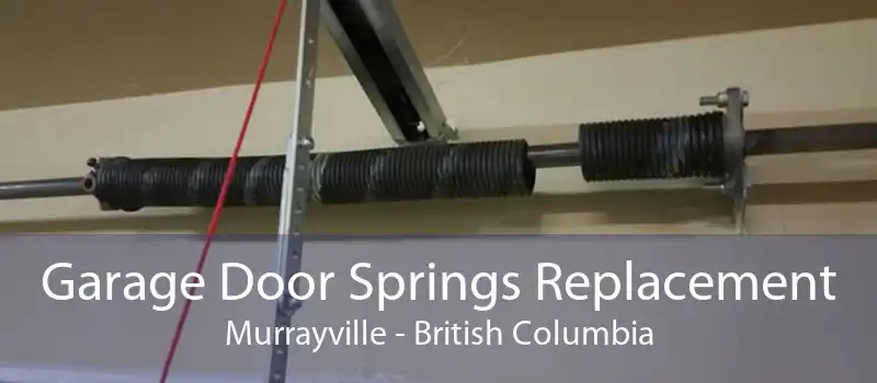 Garage Door Springs Replacement Murrayville - British Columbia