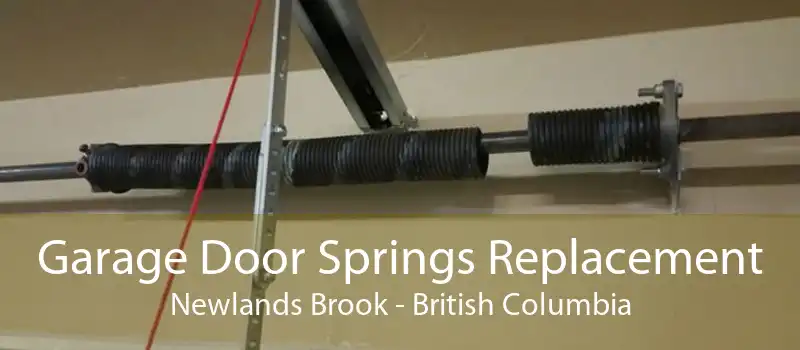 Garage Door Springs Replacement Newlands Brook - British Columbia
