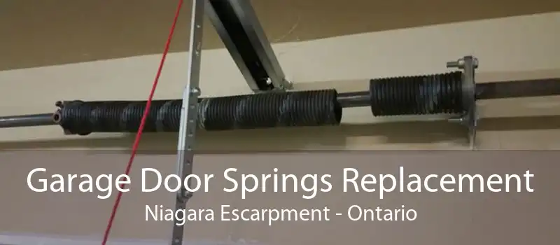 Garage Door Springs Replacement Niagara Escarpment - Ontario