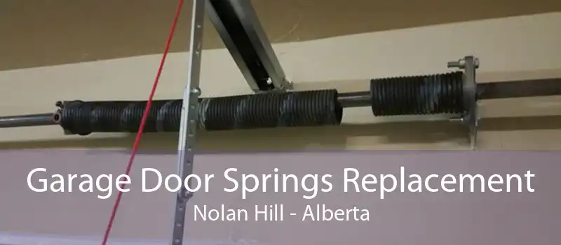 Garage Door Springs Replacement Nolan Hill - Alberta