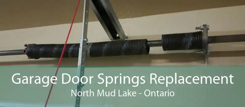 Garage Door Springs Replacement North Mud Lake - Ontario