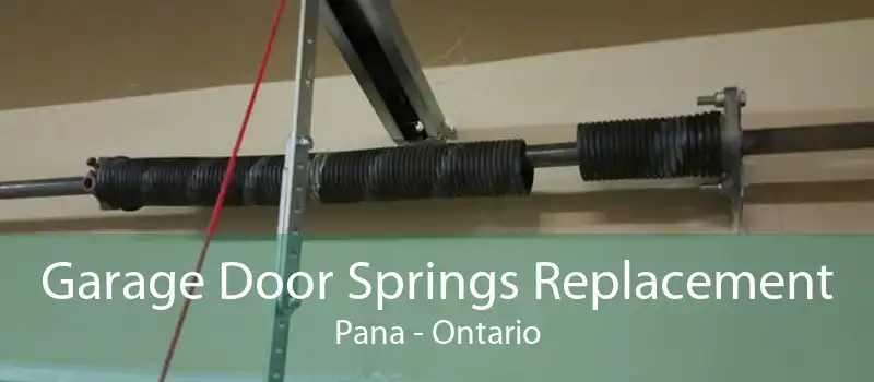 Garage Door Springs Replacement Pana - Ontario