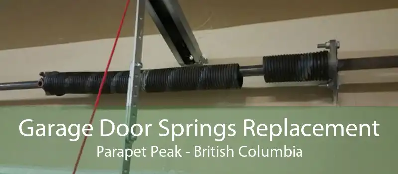 Garage Door Springs Replacement Parapet Peak - British Columbia