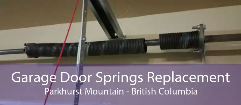 Garage Door Springs Replacement Parkhurst Mountain - British Columbia