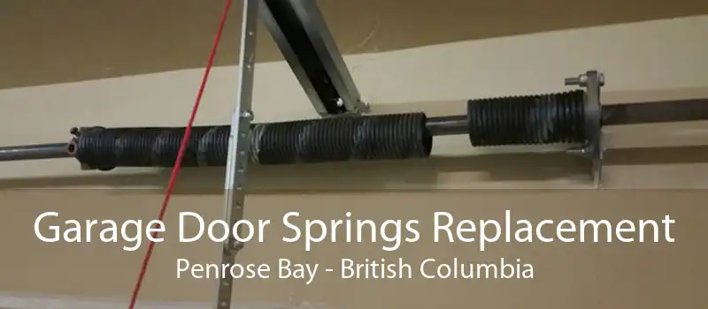 Garage Door Springs Replacement Penrose Bay - British Columbia