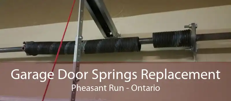 Garage Door Springs Replacement Pheasant Run - Ontario