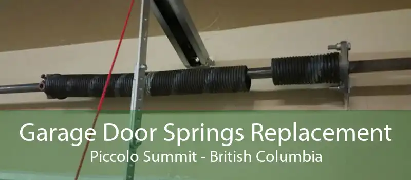 Garage Door Springs Replacement Piccolo Summit - British Columbia