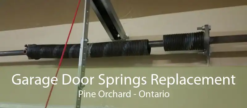 Garage Door Springs Replacement Pine Orchard - Ontario