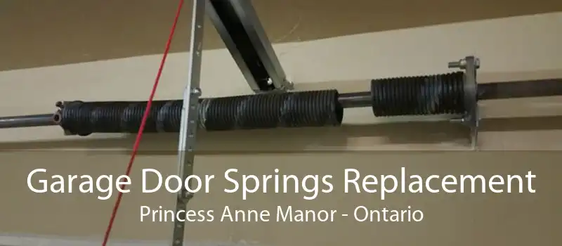 Garage Door Springs Replacement Princess Anne Manor - Ontario