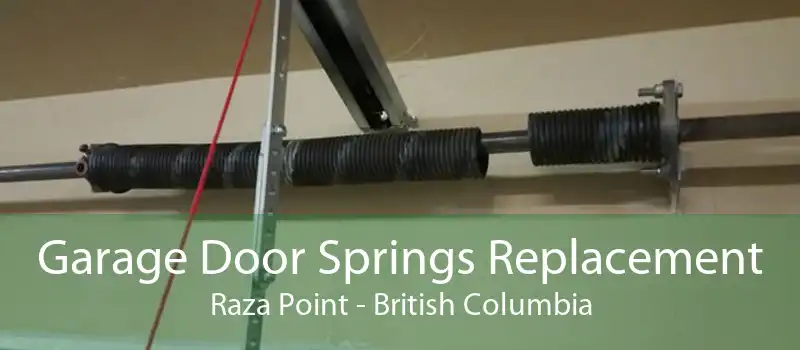 Garage Door Springs Replacement Raza Point - British Columbia