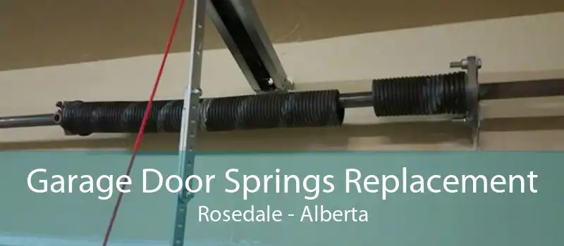 Garage Door Springs Replacement Rosedale - Alberta
