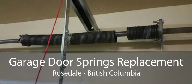 Garage Door Springs Replacement Rosedale - British Columbia