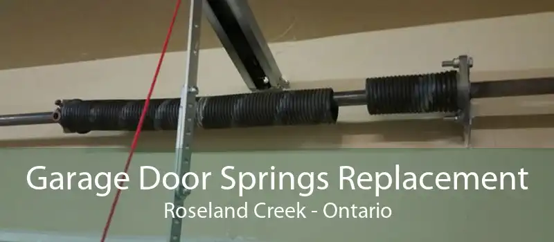 Garage Door Springs Replacement Roseland Creek - Ontario