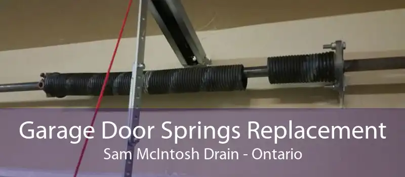 Garage Door Springs Replacement Sam McIntosh Drain - Ontario
