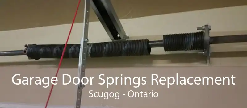 Garage Door Springs Replacement Scugog - Ontario