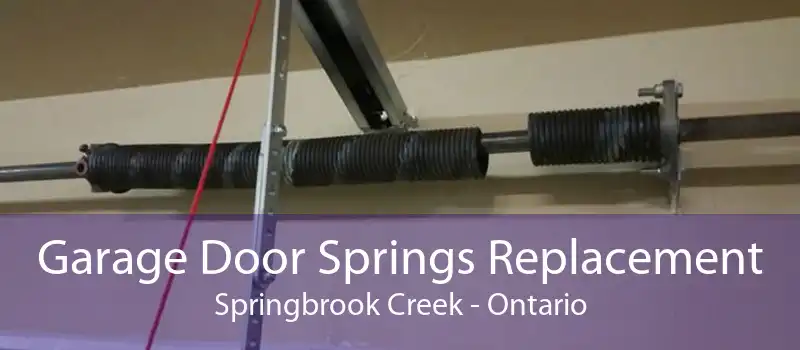 Garage Door Springs Replacement Springbrook Creek - Ontario