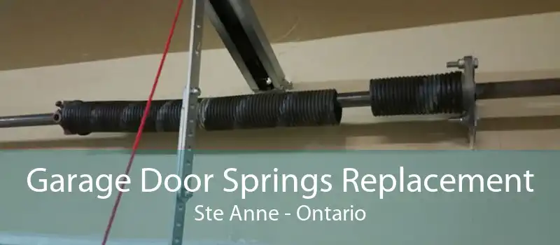 Garage Door Springs Replacement Ste Anne - Ontario