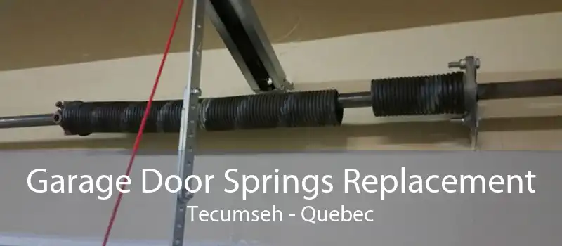 Garage Door Springs Replacement Tecumseh - Quebec
