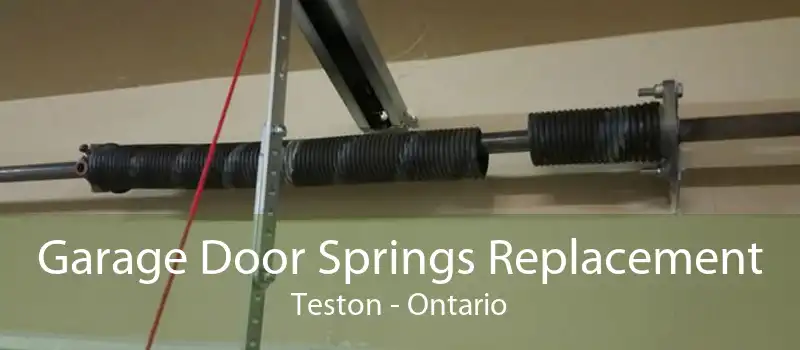 Garage Door Springs Replacement Teston - Ontario